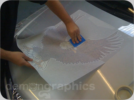 Fitting a bonnet eagle car sticker 3