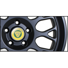 Caterham Gel Domed Wheel Badges (Set of 4)