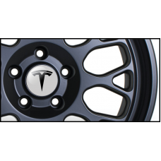 Tesla Gel Domed Wheel Badges (Set of 4)