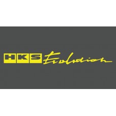 HKS Evolution Adhesive Vinyl Sunstrip
